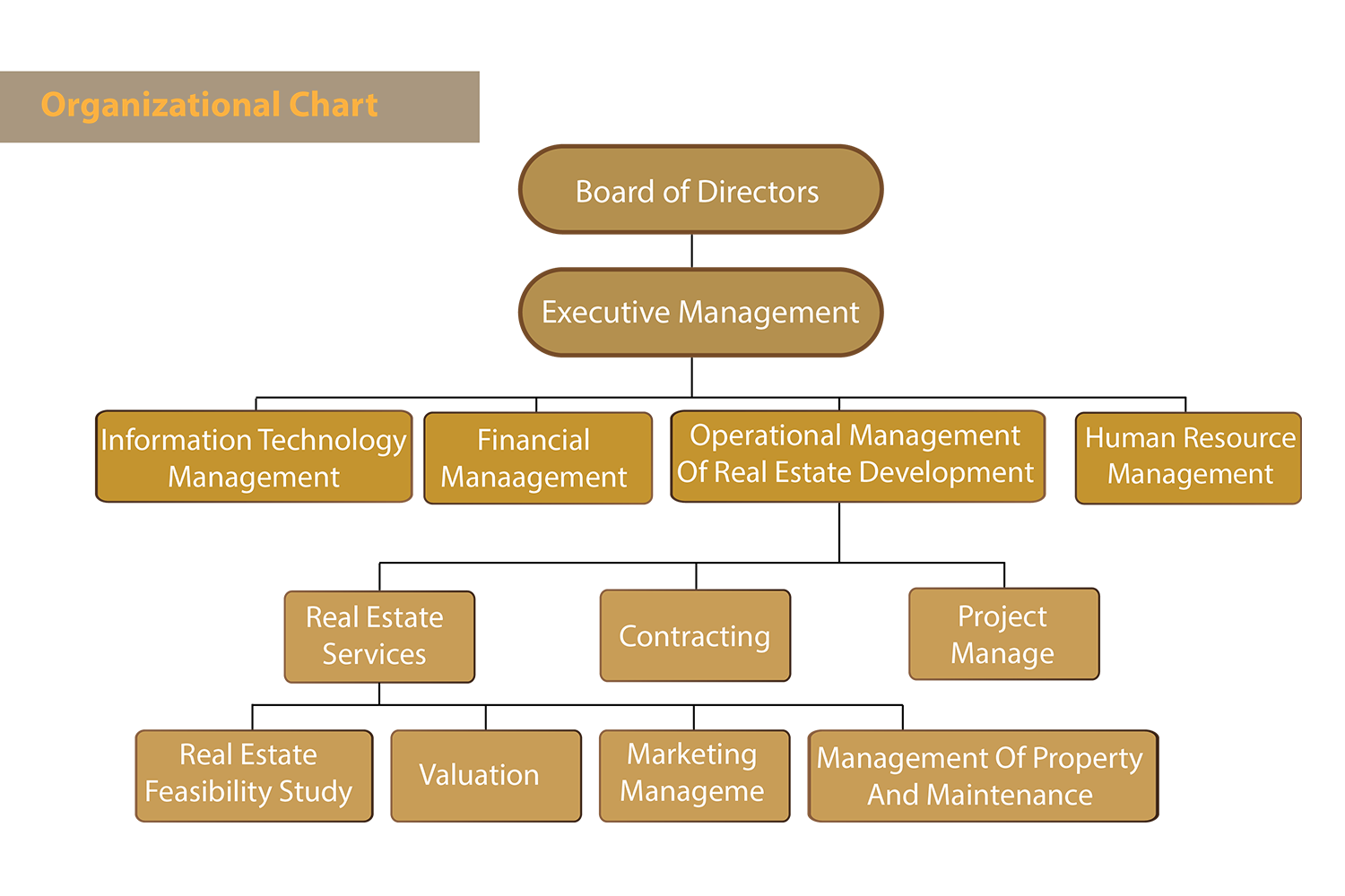 Real Estate Company Organizational Chart